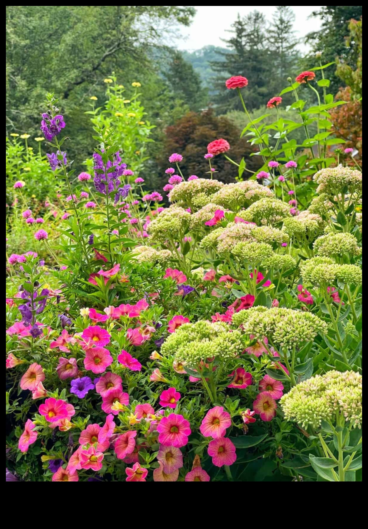 Ασπίδα και κατάκτηση Πώς να νικήσετε τα παράσιτα του κήπου γρήγορα και φυσικά 2 Shield and Conquer: Deteating Garden Pests Swiftly