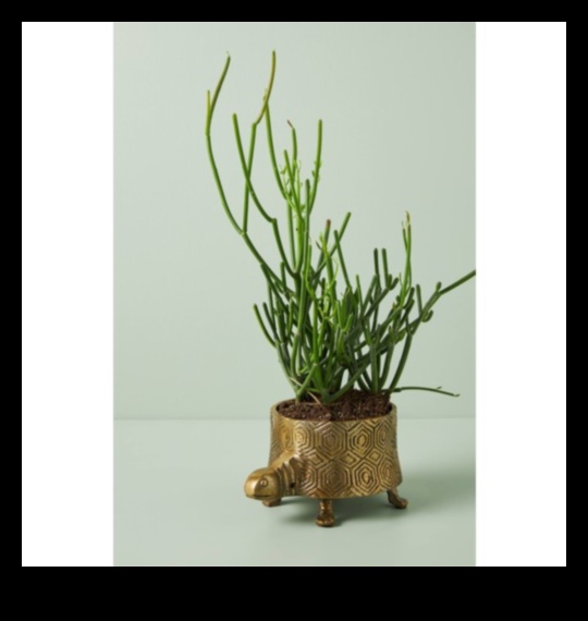 Botanical Bounty Green Gifts για λάτρεις των φυτών 3 Botanical Bounty: Πράσινα δώρα για τους λάτρεις των φυτών