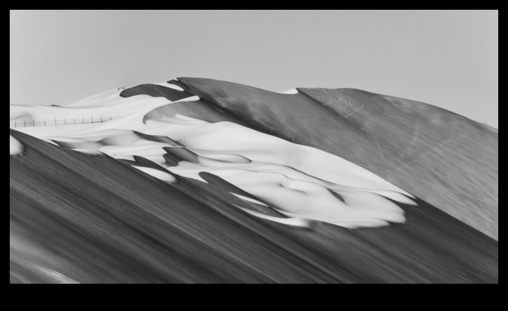 Shades of Ink: Exploring Tonal Range in Black and White Art