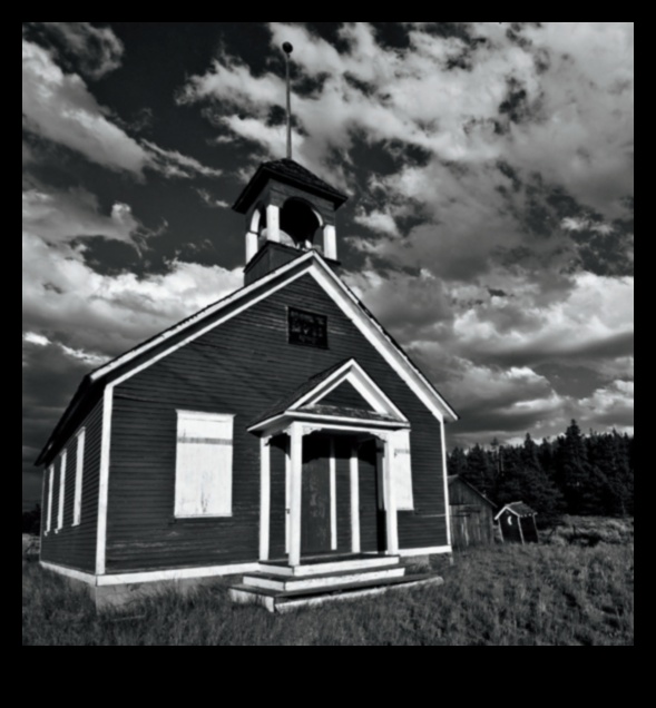 Shades of Ink: Exploring Tonal Range in Black and White Art