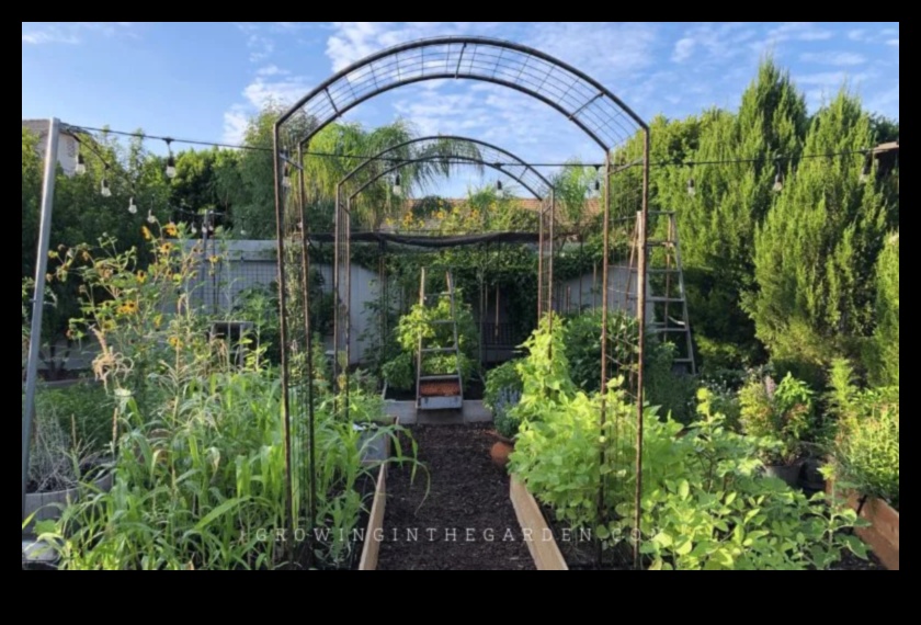 Αναρρίχηση στο Greenery Master Vertical Gardening με αυτές τις 5 συμβουλές 4 Αναρρίχηση στο πράσινο: Κατακόρυφη δεξιοτεχνία στην κηπουρική