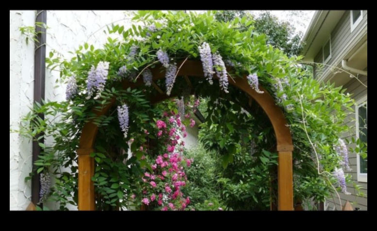 Climbing to Blossom: Vertical Gardening Inspirations