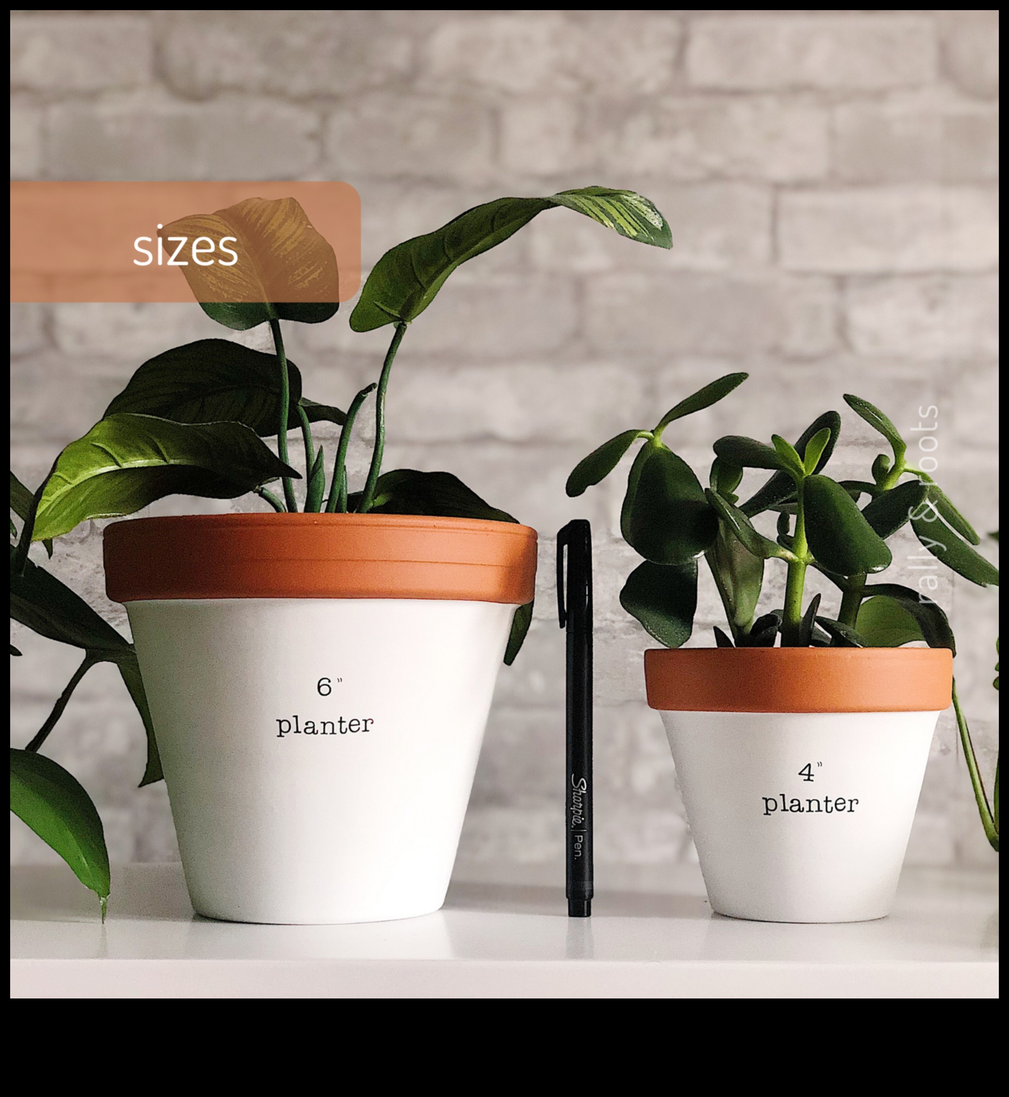 Bloom Where You are Planted: Container Gardening Wisdom