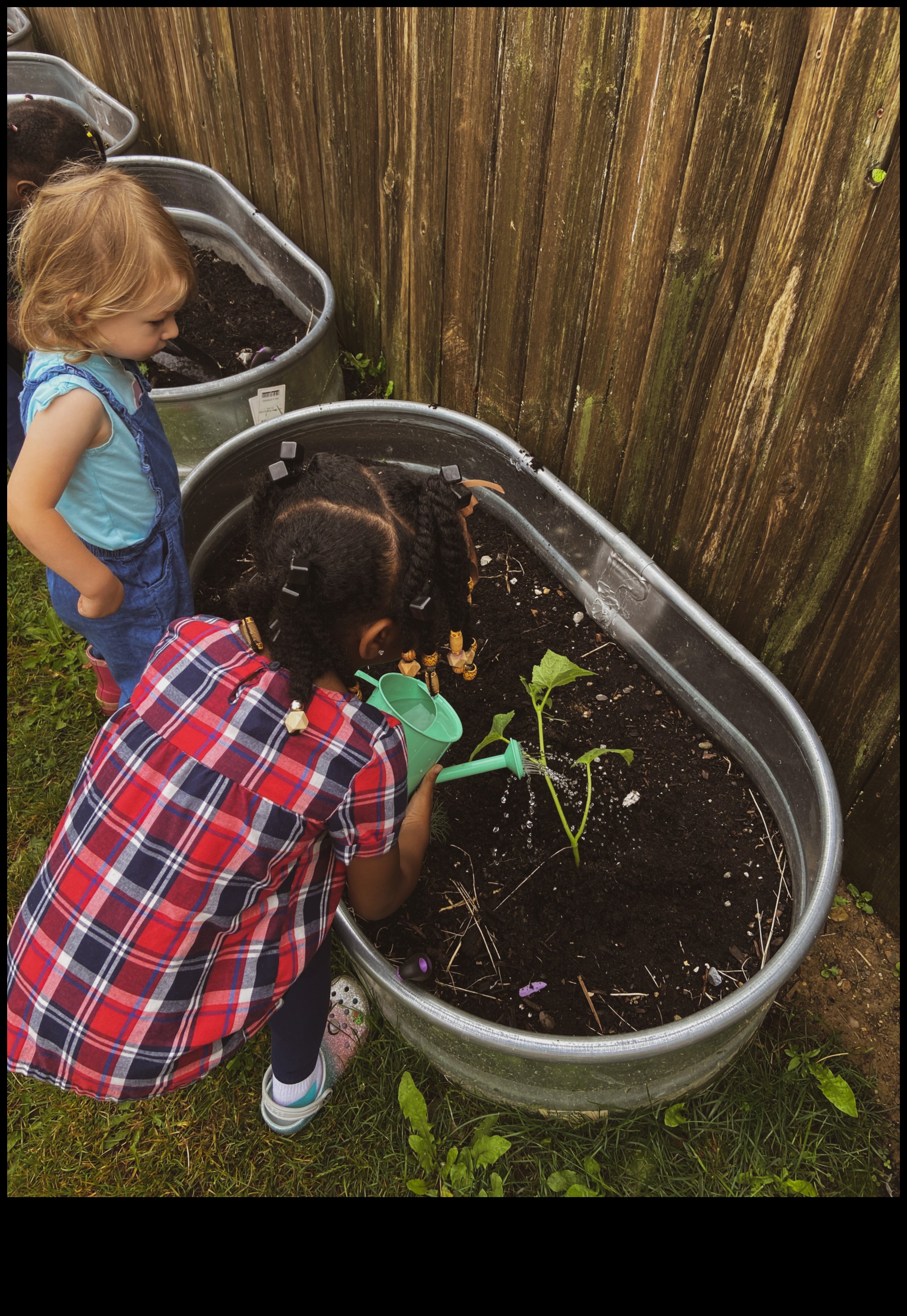 Garden Classroom: Hands-On Learning in Bloom