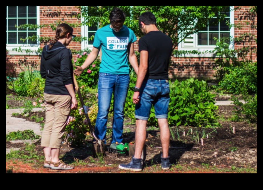 Garden Classroom: Hands-On Learning in Bloom