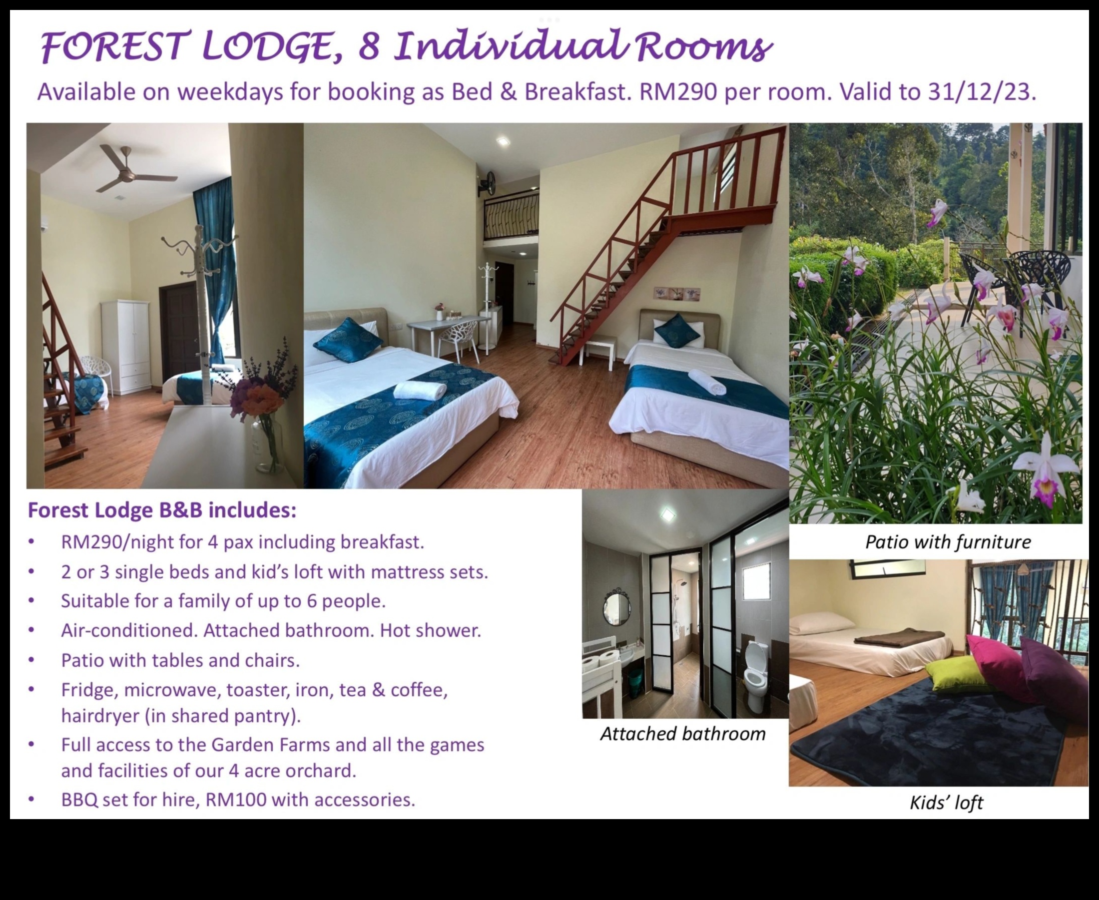 Radiant Retreat Ανυψώστε τον κήπο σας με μοντέρνες πινελιές 4 Radiant Retreat: Ανυψώστε τον κήπο σας με μοντέρνες πινελιές