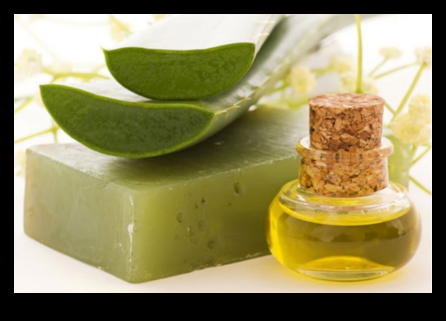 DIY Aloe Vera Bar: Δημιουργήστε το τέλειο αναψυκτικό σας στο σπίτι