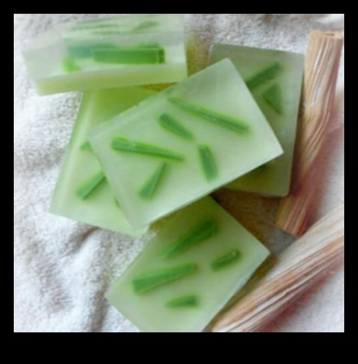 DIY Aloe Vera Bar: Δημιουργήστε το τέλειο αναψυκτικό σας στο σπίτι