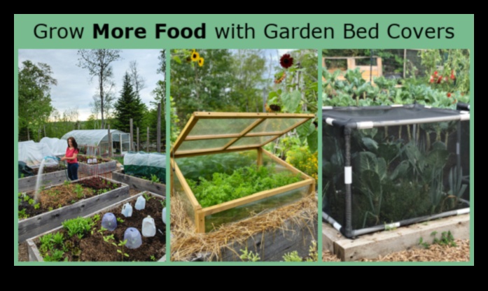 Στρατηγικές από παράσιτα Πώς να προστατέψετε τον ανθισμένο κήπο σας 2 Στρατηγικές προστασίας από παράσιτα: Προστατέψτε τον ανθισμένο κήπο σας