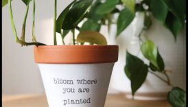 Bloom Where You are Planted: Container Gardening Wisdom