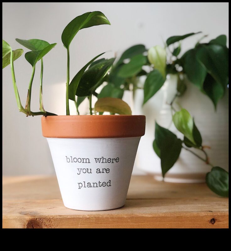 Bloom Where You are Planted: Container Gardening Wisdom