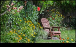 Budget-Friendly Blooms: DIY Inspirations for a Lush Garden