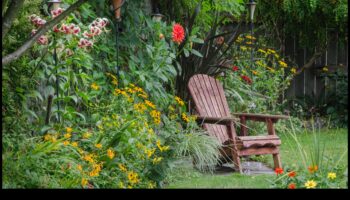 Budget-Friendly Blooms: DIY Inspirations for a Lush Garden