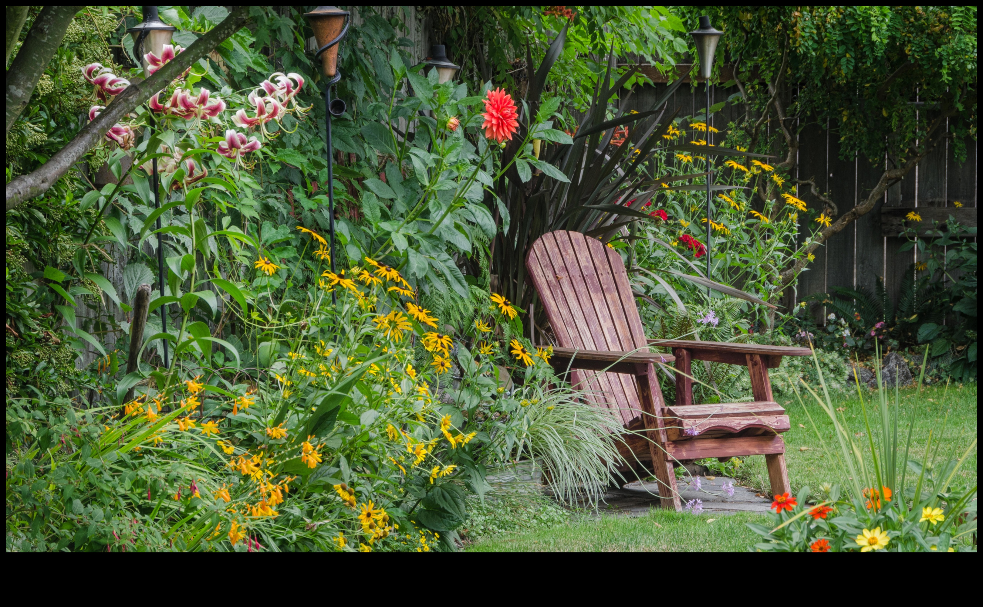 Budget-Friendly Blooms: DIY Inspirations for a Lush Garden