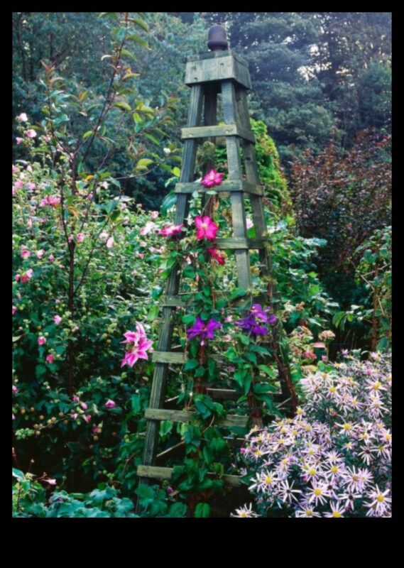 Climbing to Blossom: Vertical Gardening Inspirations