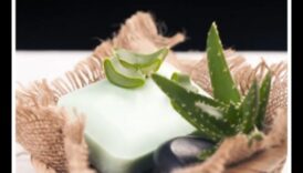DIY Aloe Vera Bar Ένας δροσιστικός και φυσικός μέσο για παραδεχτείτε δροσιστείτε 2 DIY Aloe Vera Bar: Δημιουργήστε το τέλειο αναψυκτικό σας στο σπίτι
