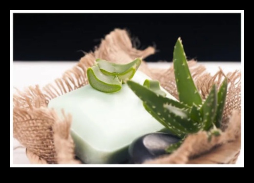 DIY Aloe Vera Bar: Δημιουργήστε το τέλειο αναψυκτικό σας στο σπίτι