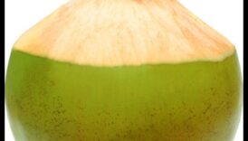 DIY Coconut Water Adventures 5 δημιουργικοί τακτικές για οραθείτε να φτιάξετε μοναδικά και γευστικά ποτά 4 DIY Coconut Water Adventures: Δημιουργήστε μοναδικά και γευστικά ποτά