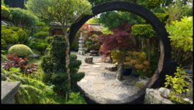 Serenity in Bloom Japanese Garden Inspirations for a Peaceful Home 1 Serenity in Bloom: Japanese Garden Inspirations