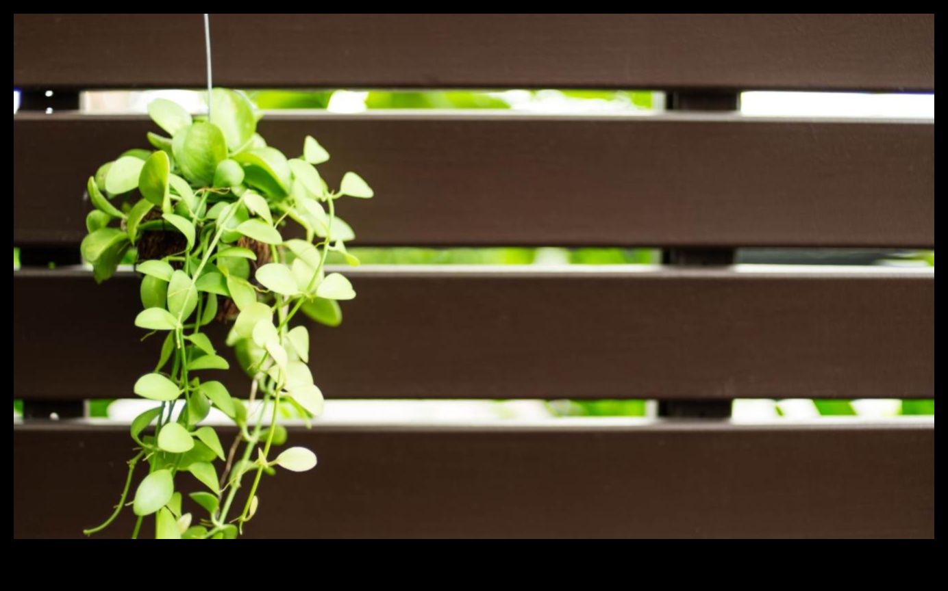 Αναρρίχηση στο Greenery Master Vertical Gardening με αυτές τις 5 συμβουλές 1 Αναρρίχηση στο πράσινο: Κατακόρυφη δεξιοτεχνία στην κηπουρική