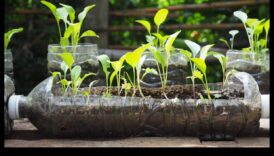 Δημιουργήστε τον προσωπικό σας φιλικό εναντίον το περικυκλών κήπο με εκείνα τα πρωτοβουλίες DIY 4 Οικολογικοί Κήποι: Βιώσιμα DIY έργα για όλους