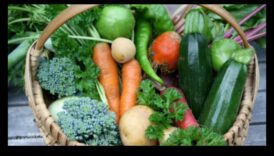 Στρατηγικές προστασίας από παράσιτα: Προστατέψτε τον ανθισμένο κήπο σας