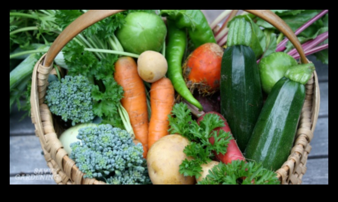 Στρατηγικές από παράσιτα Πώς να προστατέψετε τον ανθισμένο κήπο σας 1 Στρατηγικές προστασίας από παράσιτα: Προστατέψτε τον ανθισμένο κήπο σας